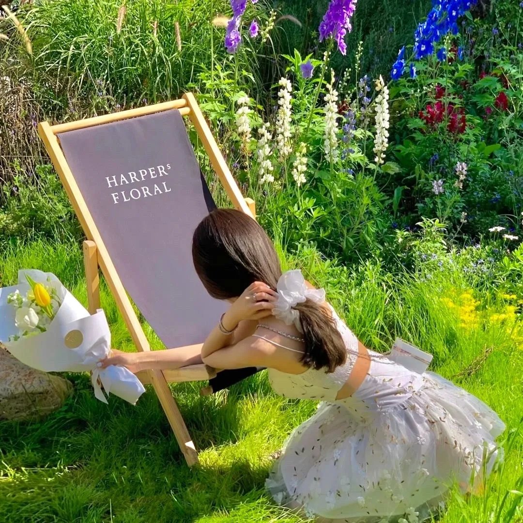 娇娇宫女步步为后